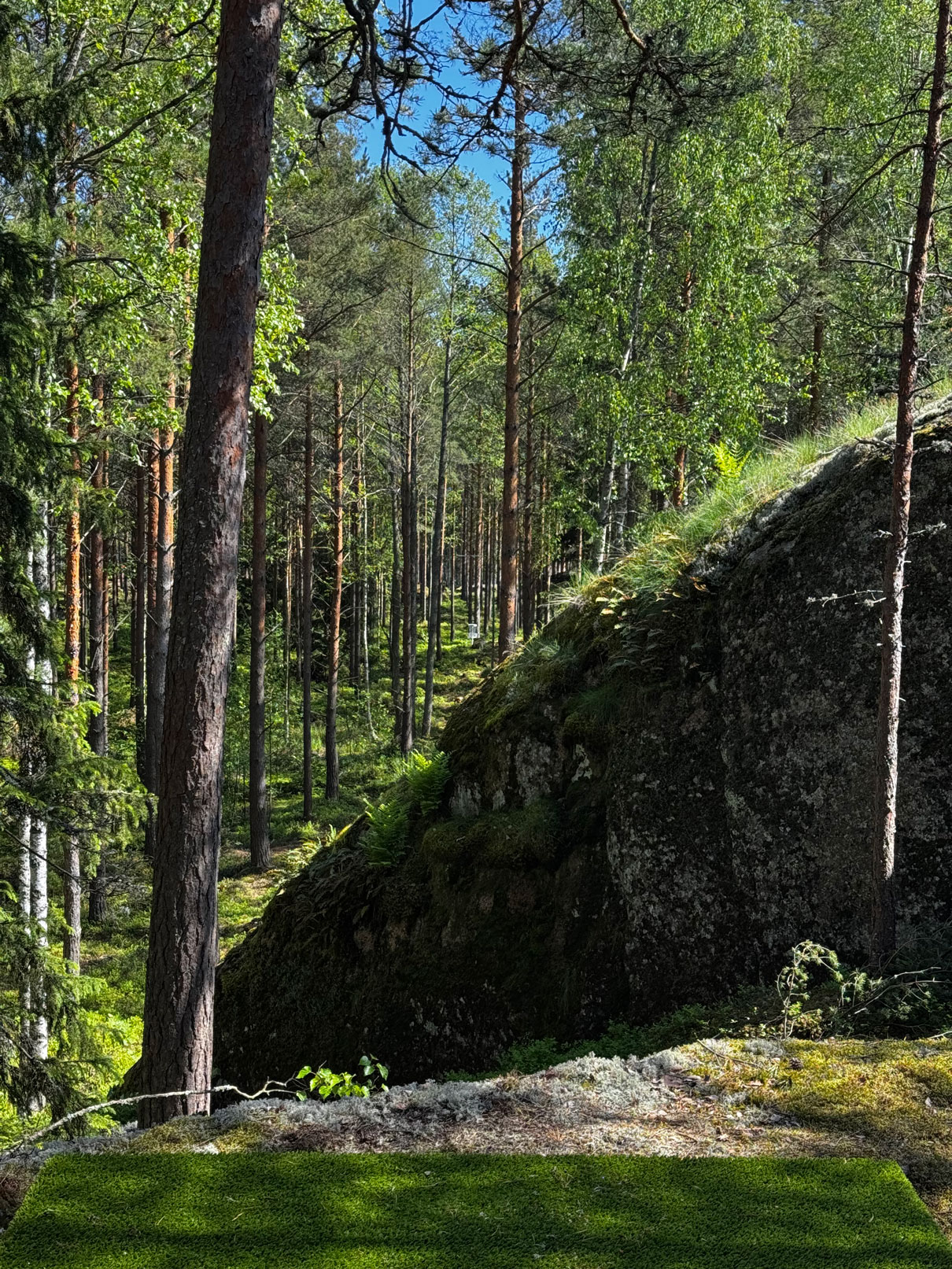 Frisbeegolf Santalahti Resort