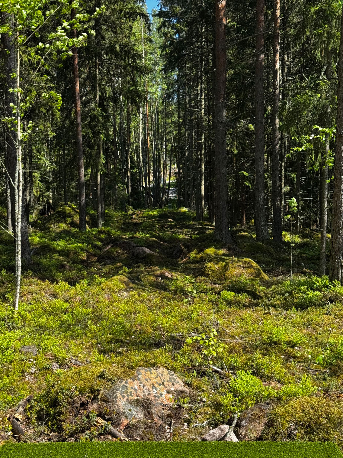 Frisbeegolf Santalahti Resort