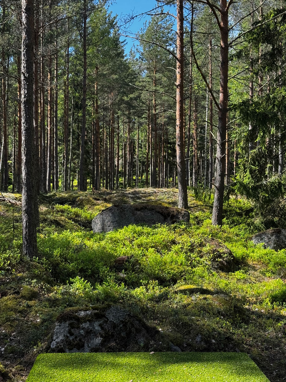 Frisbeegolf Santalahti Resort