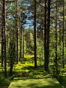 Frisbeegolf Santalahti Resort