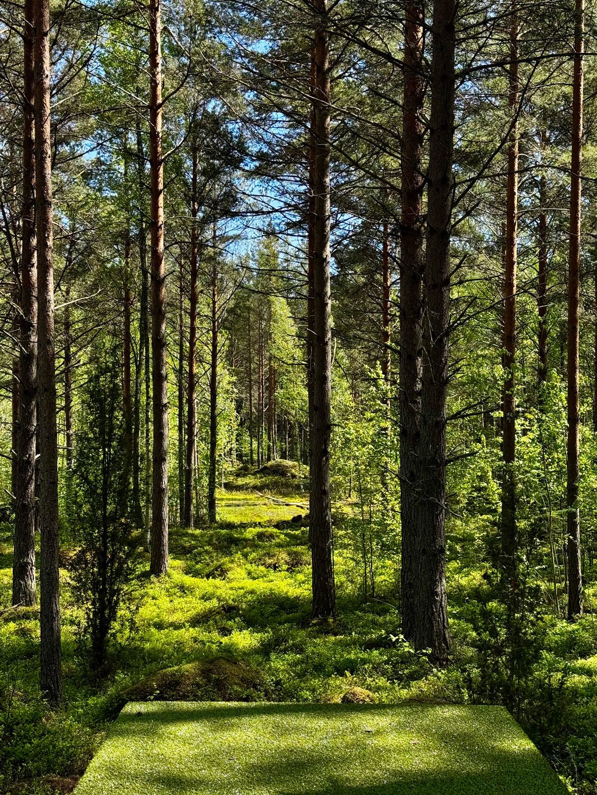 Frisbeegolf Santalahti Resort