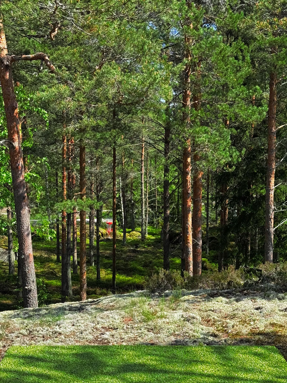 Frisbeegolf Santalahti Resort